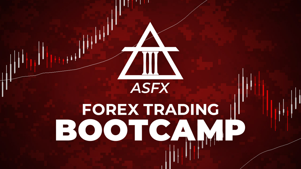 Forextraderbootcamp goforex reviews for